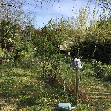 La Fricassee Kemping Aigues-Mortes